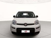 Usata Fiat Panda S 70 CV (51 kW) 2024 Bianco Utilitaria