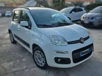 Usata Fiat Panda Easy 75 CV (55 kW) 2013 Bianco Utilitaria