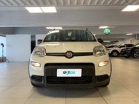 usata Fiat Panda 1.0 FireFly 70cv S&S Hybrid City Life