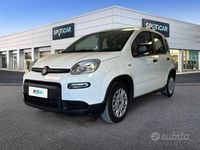 Usata Fiat Panda S 70 CV (51 kW) 2024 Bianco Utilitaria