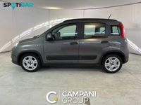 usata Fiat Panda Panda 3ª Serie -1.0 Firefly S&s Hybrid