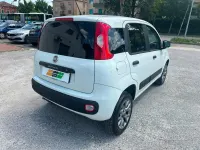 Usata Fiat Panda 4x4 Pop 84 CV (61 kW) 2019 Bianco Utilitaria