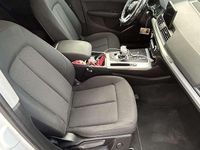 Usata Audi Q5 Design 190 CV (139 kW) 2019 SUV