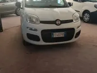 Usata Fiat Panda Easy 69 CV (50 kW) 2018 Bianco Utilitaria
