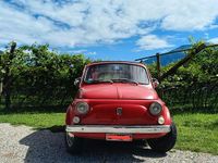 Usata Fiat 500L 1970 Monovolume