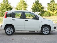 Usata Fiat Panda Lounge 86 CV (63 kW) 2020 Bianco Utilitaria