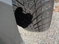 Usata Fiat Grande Punto Active 75 CV (55 kW) 2006 Grigio Utilitaria