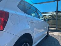 Usata VW Polo 82 CV (60 kW) 2011 Bianco Berlina
