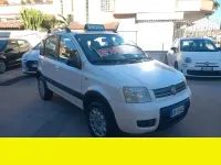 Usata Fiat Panda 60 CV (44 kW) 2009 Other Utilitaria