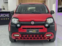 Usata Fiat Panda Cross Cross 69 CV (50 kW) 2019 Rosso Utilitaria