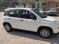 Usata Fiat Panda S 69 CV (50 kW) 2024 Bianco Utilitaria