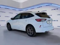 Usata Ford Kuga ST-Line 190 CV (139 kW) 2022 Bianco SUV