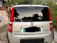 Usata Fiat Panda Climbing 60 CV (44 kW) 2010 Utilitaria
