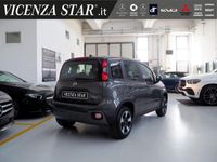 usata Fiat Panda Cross Cross 1.0 FireFly S&S Hybrid nuovo