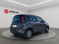 Usata Fiat Panda S 70 CV (51 kW) 2022 Grigio Utilitaria
