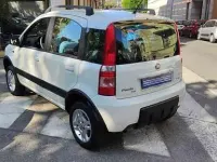 Usata Fiat Panda 4x4 Climbing 69 CV (50 kW) 2008 Bianco pastello Utilitaria