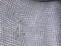 Usata Mini Cooper Cabriolet 116 CV (85 kW) 2004 Bianco Cabrio