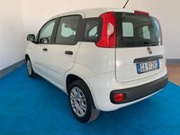 usata Fiat Panda - 1.2cc 69cv - EURO 6 - NEOPATENTATO
