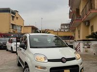 Usata Fiat Panda Easy 69 CV (50 kW) 2015 Bianco Berlina
