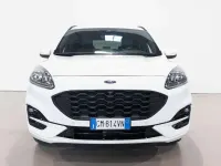 Usata Ford Kuga ST-Line X 154 CV (113 kW) 2023 Bianco SUV
