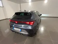 Usata Cupra Leon 150 CV (110 kW) 2025 Grigio