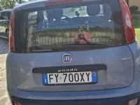 Usata Fiat Panda Easy 69 CV (50 kW) 2019 Grigio Utilitaria