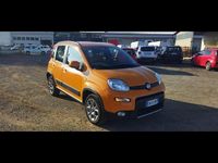 Usata Fiat Panda Trekking 75 CV (55 kW) 2014 Arancio Berlina