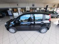 usata Fiat Panda 1.0 FireFly S&S Hybrid 70cv