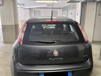 Usata Fiat Punto Evo Dynamic 77 CV (56 kW) 2010 Grigio Utilitaria