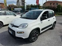 Usata Fiat Panda Cross 69 CV (50 kW) 2022 Bianco Utilitaria
