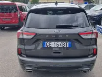 Usata Ford Kuga ST-Line 120 CV (88 kW) 2021 Magne.grey SUV