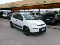 Usata Fiat Panda Cross Cross 69 CV (50 kW) 2021 Bianco Utilitaria