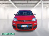 Usata Fiat Panda S 70 CV (51 kW) 2025 Rosso pastello Utilitaria