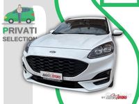 Usata Ford Kuga ST-Line X 190 CV (139 kW) 2023 Bianco SUV