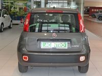 usata Fiat Panda - 1.0 70cv HYBRID