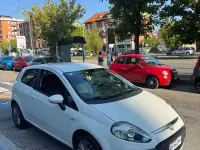 Usata Fiat Punto Evo Dynamic 77 CV (56 kW) 2011 Bianco Utilitaria