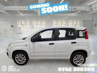 Usata Fiat Panda Easy 84 CV (61 kW) 2018 Bianco Utilitaria