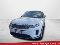 Usata Land Rover Range Rover evoque SE 163 CV (119 kW) 2022 Bianco SUV