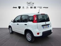 Usata Fiat Panda 69 CV (50 kW) 2023 Bianco Utilitaria
