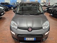 Usata Fiat Panda 4x4 S 85 CV (62 kW) 2020 Grigio Utilitaria