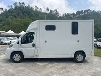 Nuova Fiat Ducato 179 CV (131 kW) 2025 Verde Furgone