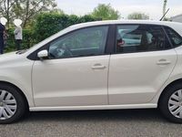 usata VW Polo 5ª serie 1.6 TDI DPF 5 porte Comfortline