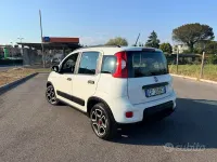 Usata Fiat Panda City Life 69 CV (50 kW) 2021 Bianco Utilitaria
