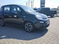 usata Fiat Panda Cross 1.0 FireFly S&S Hybrid City del 2022 usata a Alessandria