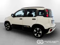 Usata Fiat Panda Cross Cross 70 CV (51 kW) 2025 Bianco Utilitaria