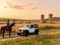 Usata Jeep Wrangler 200 CV (147 kW) 2013 SUV