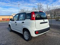 Nuova Fiat Panda Pop 92 CV (67 kW) 2026 Bianco gelato Utilitaria