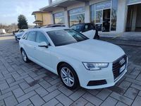 Usata Audi A4 Business 150 CV (110 kW) 2019 Ibis Station wagon