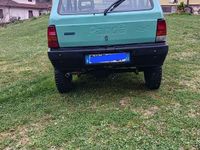 Usata Fiat Panda 4x4 Trekking 50 CV (36 kW) 2002 Utilitaria