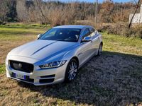 usata Jaguar XE pure